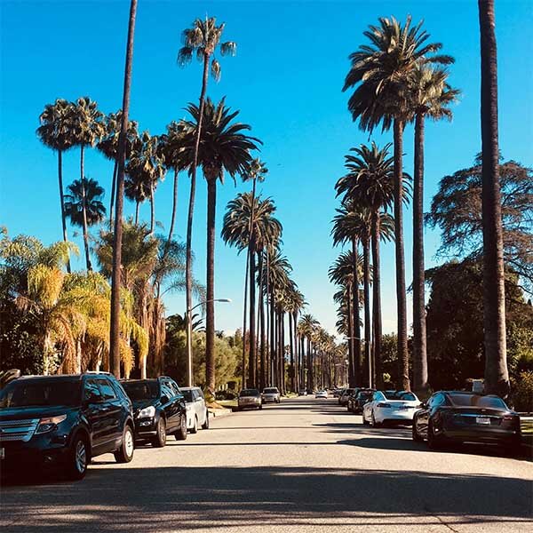 flights to los angeles